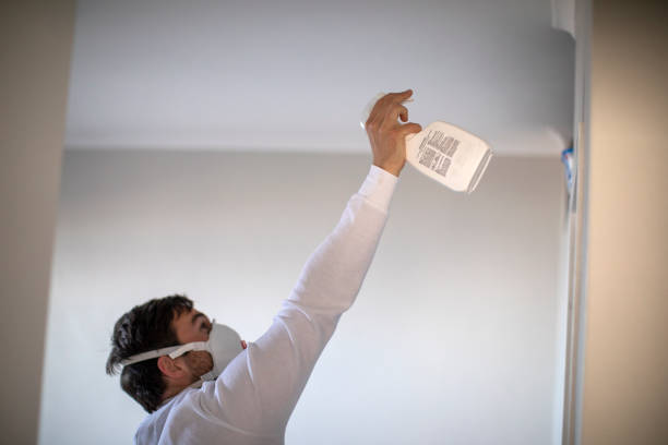 Best Emergency Mold Removal  in Saegertown, PA