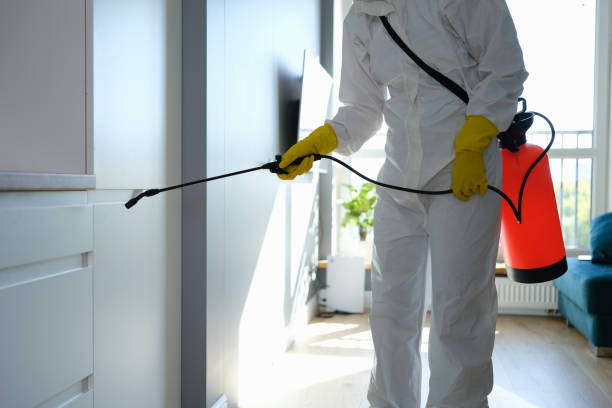 Best Mold Cleaning Services  in Saegertown, PA