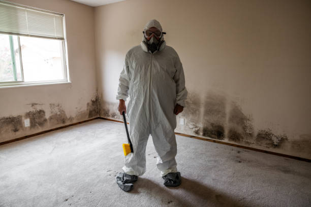 Best Crawl Space Mold Removal  in Saegertown, PA